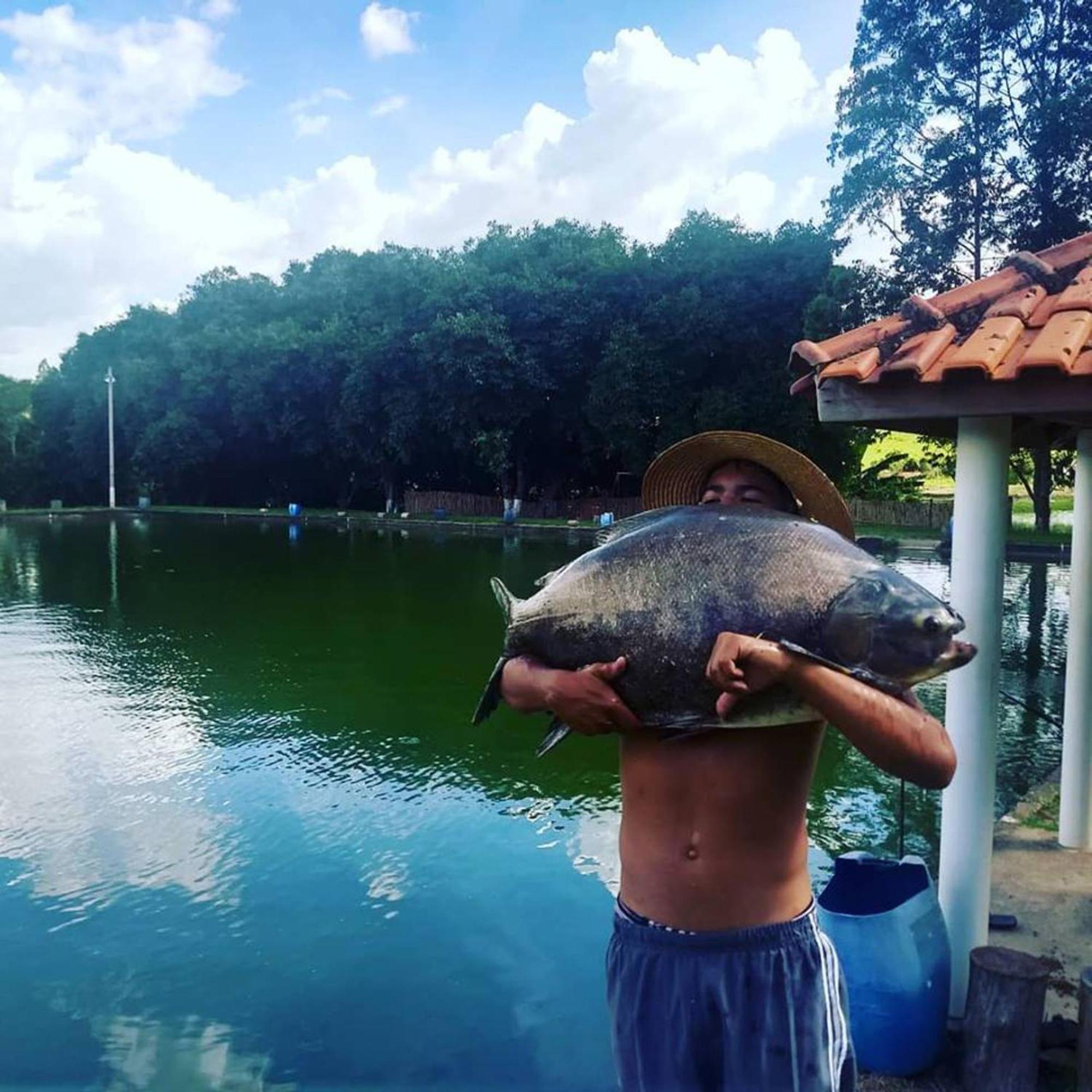 & Pesca Esportiva Fazolin *